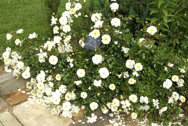 Les Rendez-vous aux jardins 2008 de la poterie Hillen