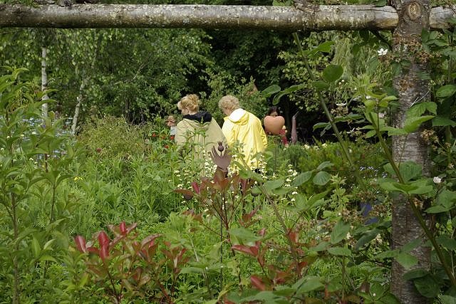 Les Rendez-vous aux jardins 2008 de la poterie Hillen