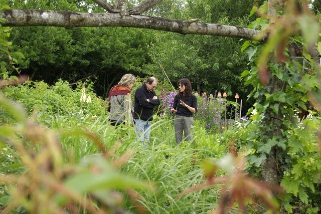 Les Rendez-vous aux jardins 2008 de la poterie Hillen